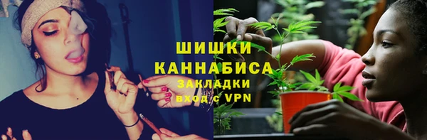 PSILOCYBIN Белокуриха